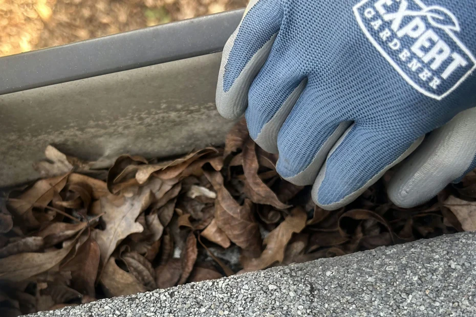 Gutter Cleaning Wilsonville AL