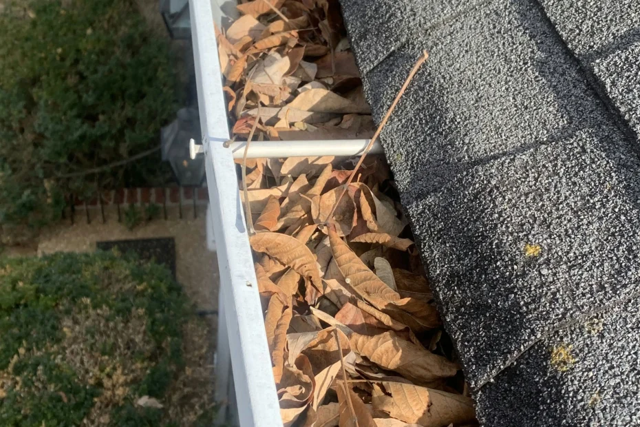 Gutter Cleaning Wilsonville AL